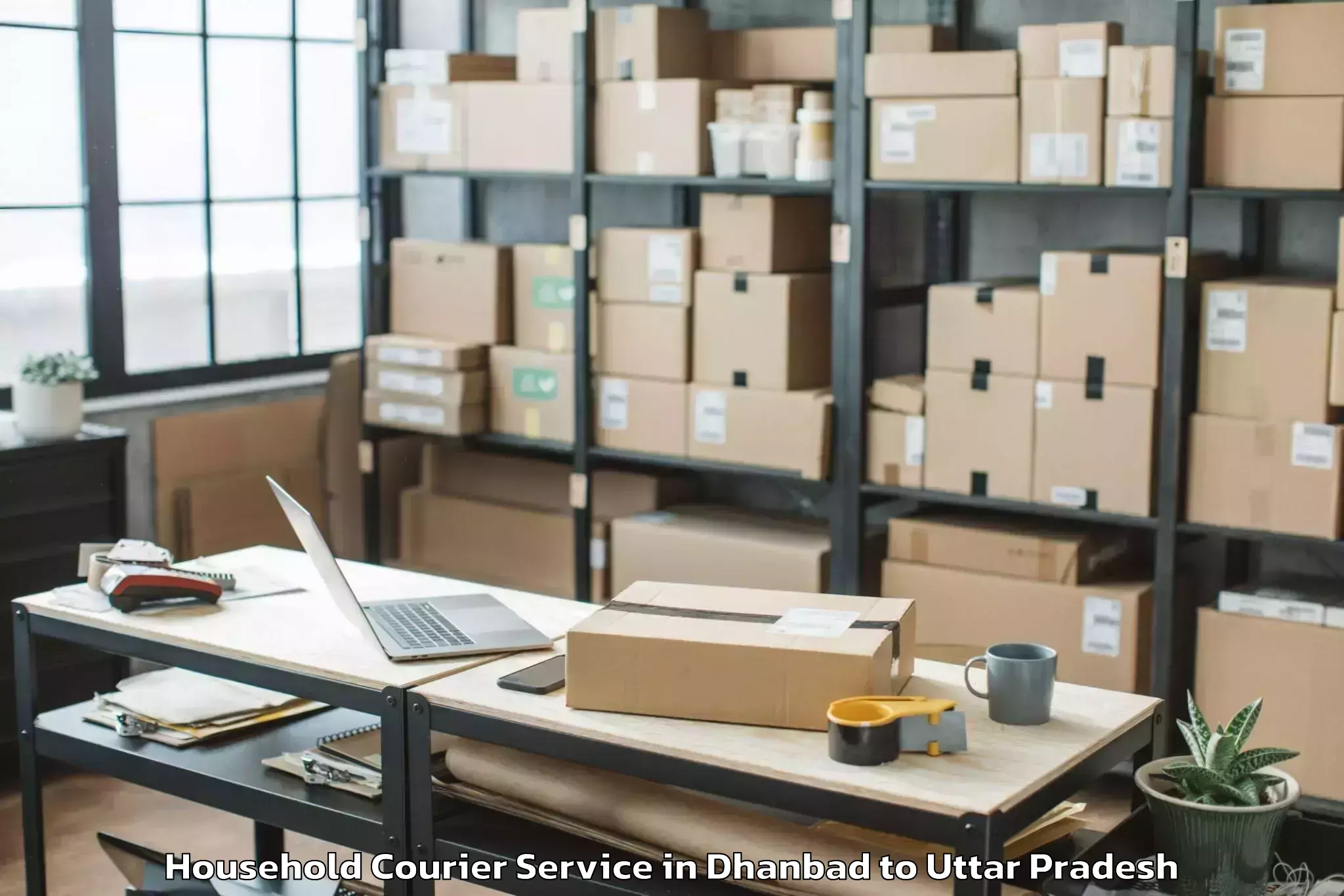 Professional Dhanbad to Maharajganj Household Courier